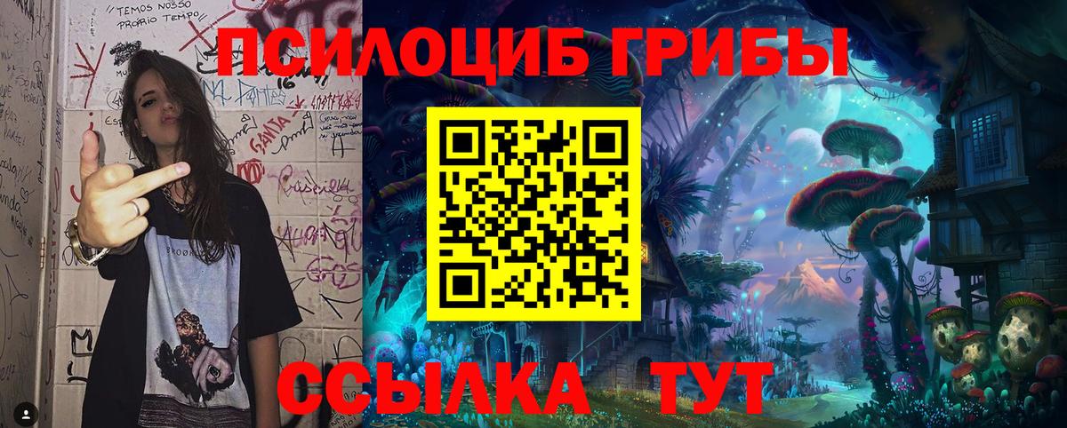 Мирный  Галлюциногенные грибы GOLDEN TEACHER  Вход с VPN  купить наркотики сайты  Галлюциногенные грибы Magic Shrooms 